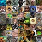 Is An Eye For An Eye Ever Justified?