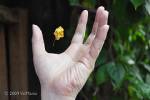 The Scientific Evidence for Psychokinesis: Psi Phenomena, Part 4