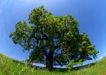 Earth Day is Every Day