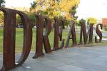Jeremy Taylor's Six Basic Hints for Dream Work